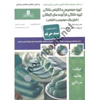 تهیه سوسیس و کالباس خانگی و فرآورده های گوشتی (انواع برگر،سوسیس و کالباس) سند حرفه هانیه مردانی انتشارات نقش آفرینان بابکان